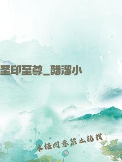 圣印至尊