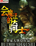 會魔法的騎士