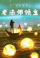 一位年輕的老法師領主